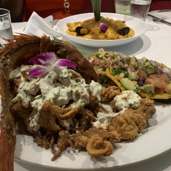 CVI.CHE 105 - Red snapper daily special - Peruvian Near Me - Miami, Florida
