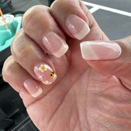 Summer bees and daisies