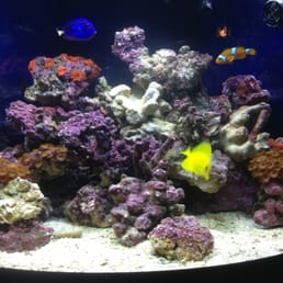 My new tank.  (..;  It's wonderful!!