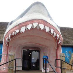 Sharky's