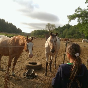 Cougar Mountain Stables - Horseback Riding Near Me - Renton, Washington Cougar Mountain Stables - Horseback Riding Near Me - Renton, Washington