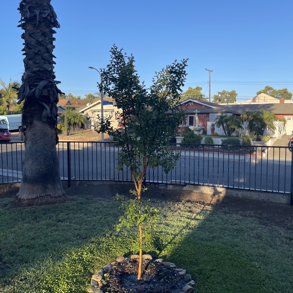 Budget Plants - Nurseries & Gardening Near Me - Arcadia, California