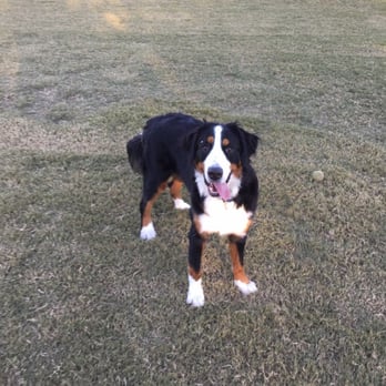 Tempe Sports Complex - Dog Parks Near Me - Tempe, Arizona