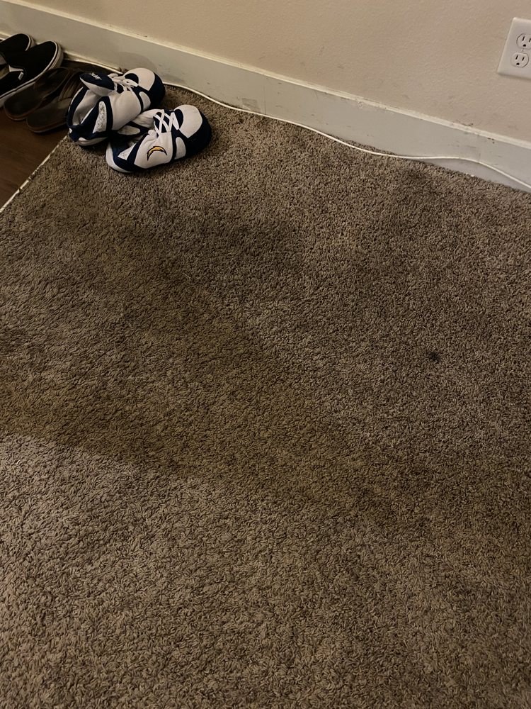 ALL GREEN CARPET CLEAN Long Beach, California Carpet Cleaning