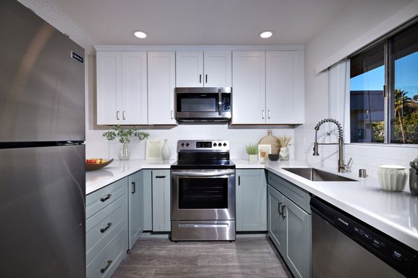 Trolley Palm by null