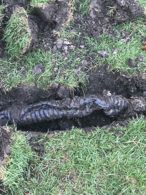 Nemanich Consulting and Management