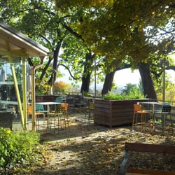 The terrace