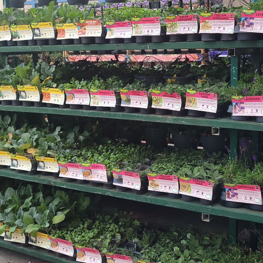 The Home Depot - Nurseries & Gardening Near Me - Union City, California