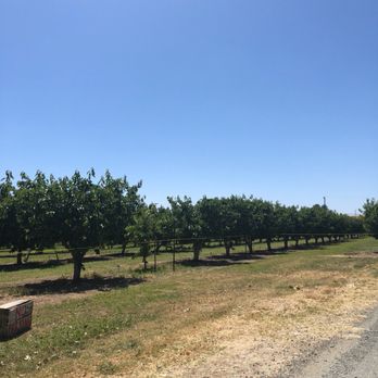Wolfe Ranch - Fruits & Veggies Near Me - Brentwood, California Wolfe Ranch - Fruits & Veggies Near Me - Brentwood, California