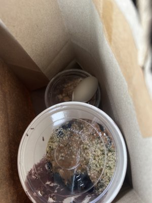 Backyard Bowls by null