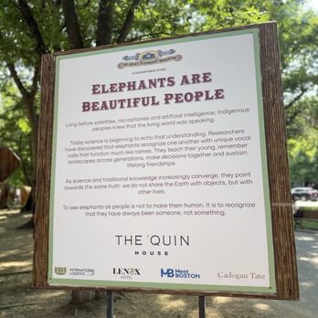 Commonwealth Avenue Mall - The Great Elephant Migration AUGUST 8 - SEPTEMBER 13, 2026 BETWEEN FAIRFIELD & DARTMOUTH - Parks Near Me - Boston, Massachusetts Commonwealth Avenue Mall - The Great Elephant Migration AUGUST 8 - SEPTEMBER 13, 2026 BETWEEN FAIRFIELD & DARTMOUTH - Parks Near Me - Boston, Massachusetts