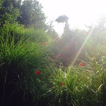 Grounds For Sculpture - Museums Near Me - Hamilton, New Jersey