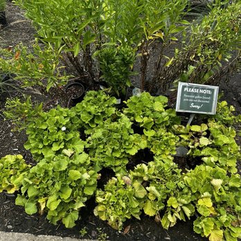 Green Fields Nursery - Nurseries & Gardening Near Me - Baltimore, Maryland