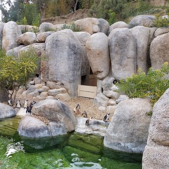 Africa Rocks - Zoos Near Me - San Diego, California Africa Rocks - Zoos Near Me - San Diego, California