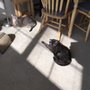 Photo of Mark's Mates Cat Sitting