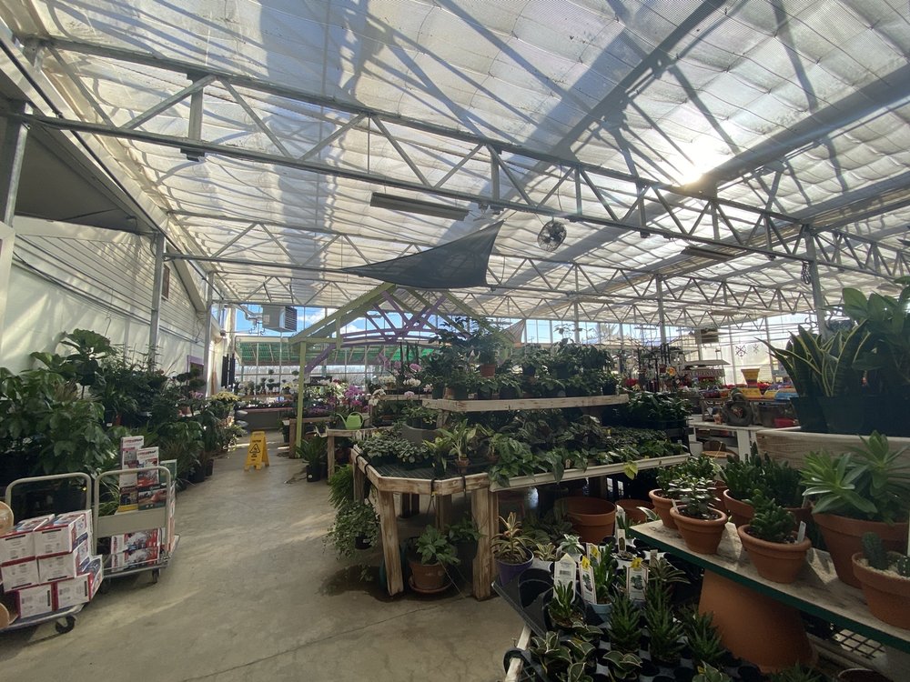 RIGGIO’S GARDEN CENTER/ESSEX FLOWER SHOPPE 13 Photos 136 Westbrook