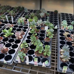 Green Outdoors Landscaping & Nursery