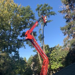 Epic Trimming & Removal - Made out giant tree go away.