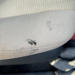 Precision Tune Auto Care - Stain from oil?