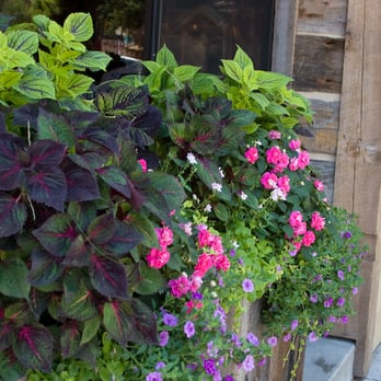 Swan River Gardens - Commercial Planting - Nurseries & Gardening Near Me - Bigfork, Montana Swan River Gardens - Commercial Planting - Nurseries & Gardening Near Me - Bigfork, Montana