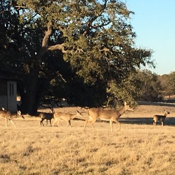 Hords Creek Lake - Campgrounds Near Me - Coleman, Texas Hords Creek Lake - Campgrounds Near Me - Coleman, Texas