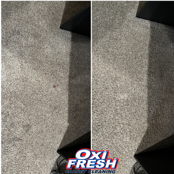 Oxi Fresh Carpet Cleaning - Carpet Cleaning Near Me Oxi Fresh Carpet Cleaning - Carpet Cleaning Near Me