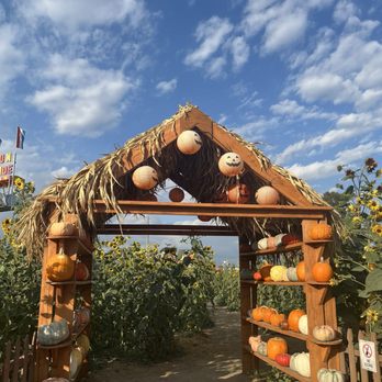 Frosty's Forest Pumpkin Patch - Attraction Farms Near Me - Chino, California Frosty's Forest Pumpkin Patch - Attraction Farms Near Me - Chino, California