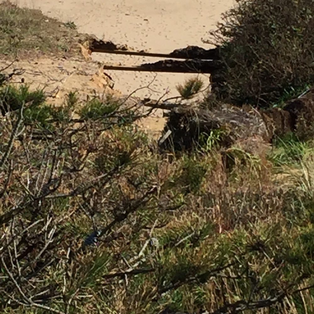Nauset Light Beach - Beaches Near Me Nauset Light Beach - Beaches Near Me