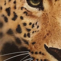 Hydrochrome - Airbrush art by Hydrochrome