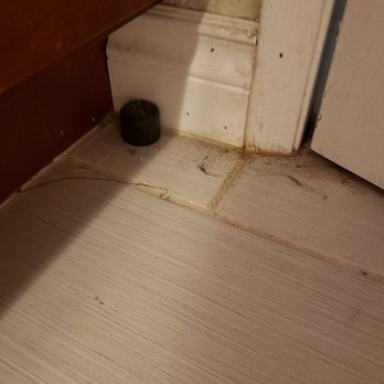 Dirty Deeds Cleaning - Again swept and mopped and wiped down baseboards - Office Cleaning Near Me - Lakewood, Washington Dirty Deeds Cleaning - Again swept and mopped and wiped down baseboards - Office Cleaning Near Me - Lakewood, Washington