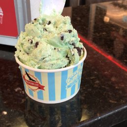 Mint Chocolate Chip Ice Cream