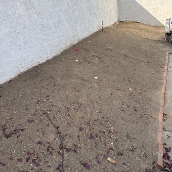 Wag Waste Angels - Clean side yard where my dogs use the bathroom! - Pet Waste Removal Near Me Wag Waste Angels - Clean side yard where my dogs use the bathroom! - Pet Waste Removal Near Me