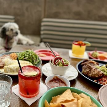 Playa Mesa - Carnitas Plato Dinner Guacamole Enchilada Suiza de Pollo Dinner - Mexican Near Me - Costa Mesa, California Playa Mesa - Carnitas Plato Dinner Guacamole Enchilada Suiza de Pollo Dinner - Mexican Near Me - Costa Mesa, California