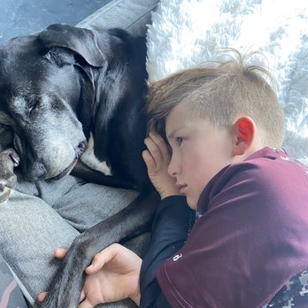 Peaceful Pets Services - Saying goodbye - Pet Services Near Me - Castaic, California Peaceful Pets Services - Saying goodbye - Pet Services Near Me - Castaic, California