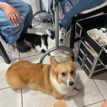 Elas Coven - Ella is SUPER friendly with animals...even my annoying ones that would leave her alone. - Nail Salons Near Me - Miami, Florida