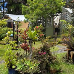 Garden view from our table