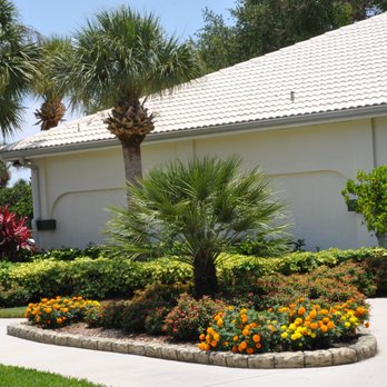 Greenscapes - a palm tree in a flower bed in front of a house - Landscaping Near Me - Sarasota, Florida Greenscapes - a palm tree in a flower bed in front of a house - Landscaping Near Me - Sarasota, Florida