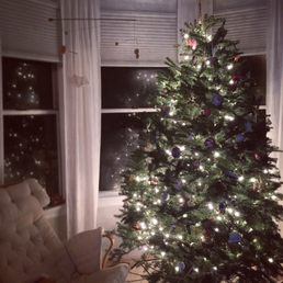 Beautiful 8ft tree!