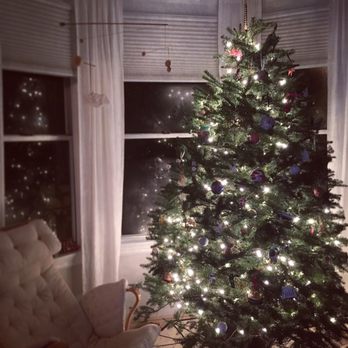 ABC Tree Farms LLC - Beautiful 8ft tree! - Christmas Trees Near Me - San Francisco, California