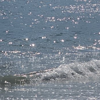 Doheny State Beach - Wave - Beaches Near Me - Dana Point, California
