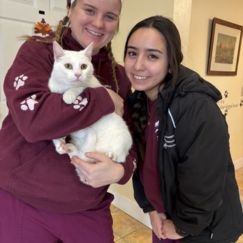 Montgomery Veterinary Hospital - Kitty Love - Veterinarians Near Me - Montgomery, New York Montgomery Veterinary Hospital - Kitty Love - Veterinarians Near Me - Montgomery, New York