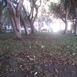 Parque David Alfaro Siqueiros - Parque David Alfaro Siqueiros. Zona Río
