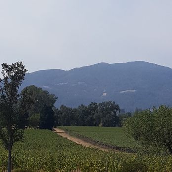 Mumm Napa - One of the magical views we experienced! - Wine Tasting Room Near Me - Rutherford, California Mumm Napa - One of the magical views we experienced! - Wine Tasting Room Near Me - Rutherford, California