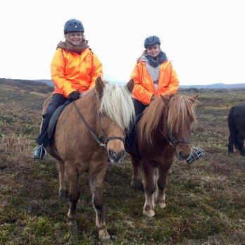 Affordable Mobile Notary - Mothers daughter notary duo in Iceland. - Notaries Near Me Affordable Mobile Notary - Mothers daughter notary duo in Iceland. - Notaries Near Me