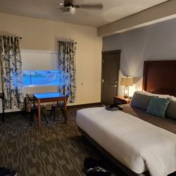Manson Bay Suites - Huge room almost a suite