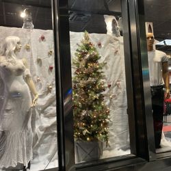 Adam & Eve Store - Would you be the tree?