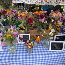 Steamboat Springs Farmers Market - Flowers