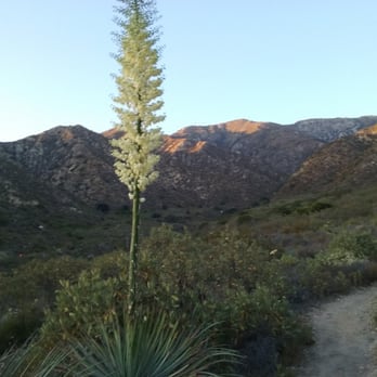 Deukmejian Wilderness Park - On the path - Hiking Near Me - Glendale, California