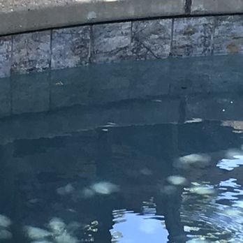 Ace Pool Plastering - Pool & Hot Tub Service Near Me