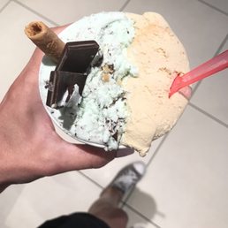 Mint Chocolate Chip